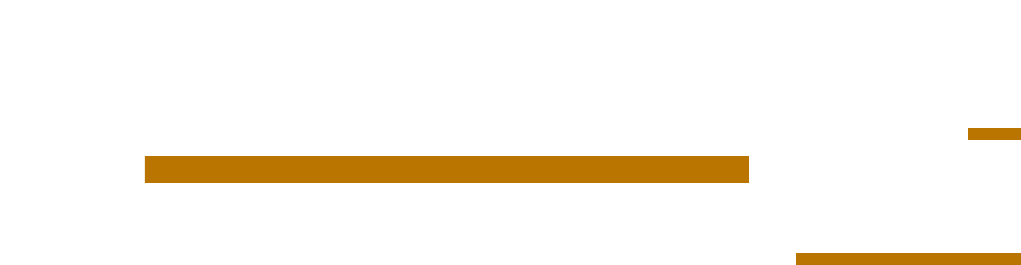 Marathon Finishing Systems - Built to Run
